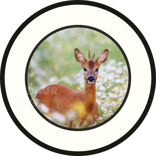 Preview: Schützenscheibe Basic-Line, ohne Eichenlaub