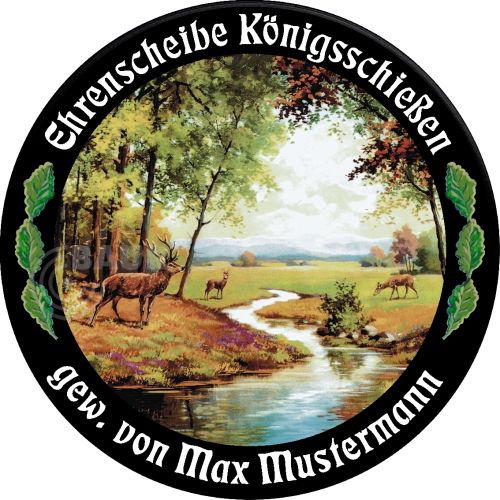 Preview: Schützenscheibe ECO-LINE Motiv 018