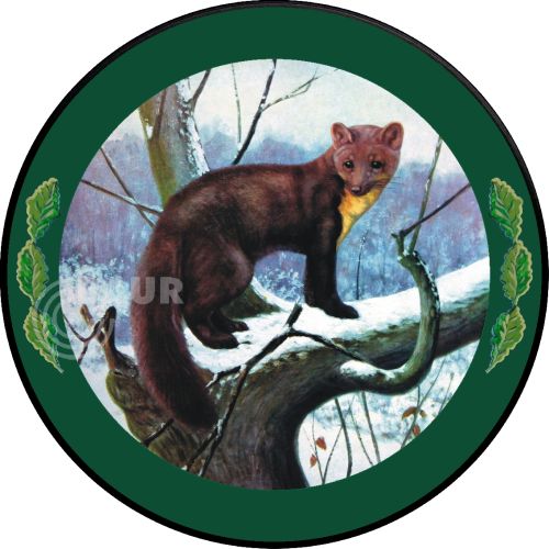 Preview: Schützenscheibe ECO-LINE Motiv 090