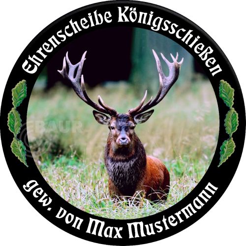 Preview: Schützenscheibe ECO-LINE Motiv 168