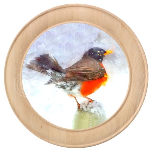 Schützenscheibe Motiv 278