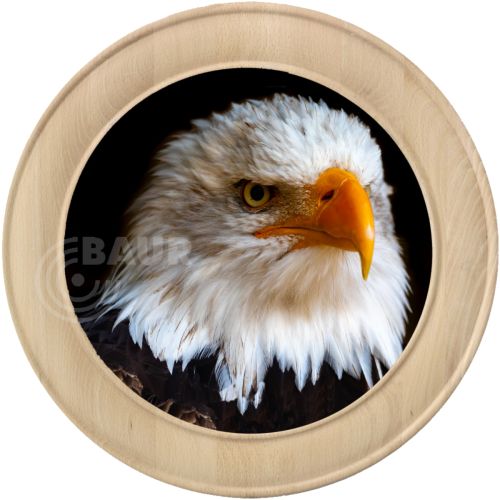 Schützenscheibe Motiv 281