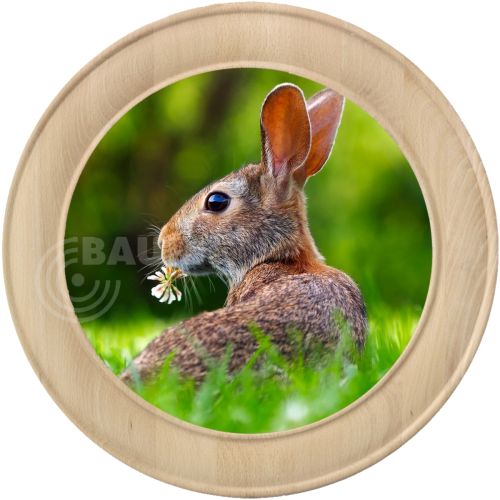 Schützenscheibe Motiv 283