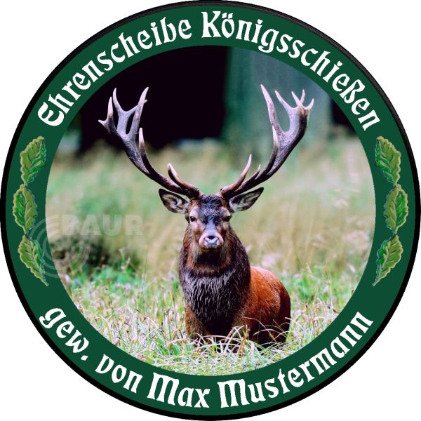 Schützenscheibe ECO-LINE Motiv 168