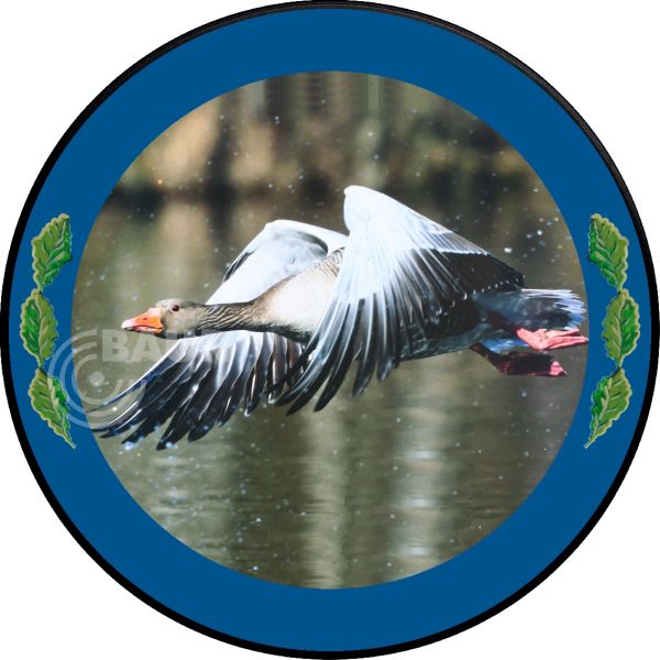 Schützenscheibe ECO-LINE Motiv 213