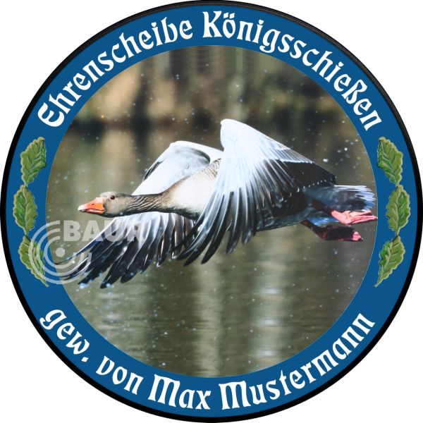 Schützenscheibe ECO-LINE Motiv 213