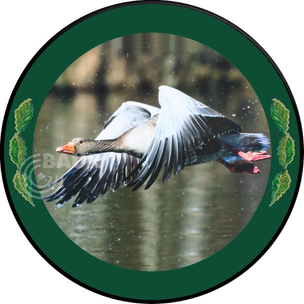 Schützenscheibe ECO-LINE Motiv 213