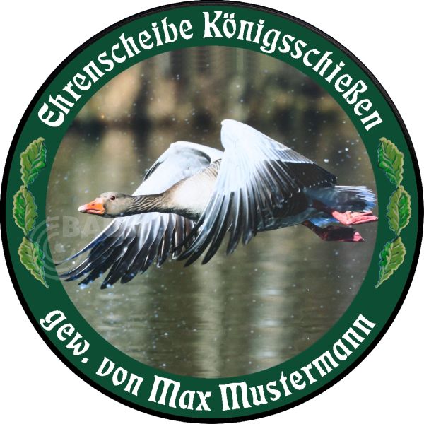 Schützenscheibe ECO-LINE Motiv 213