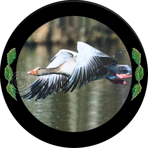 Schützenscheibe ECO-LINE Motiv 213