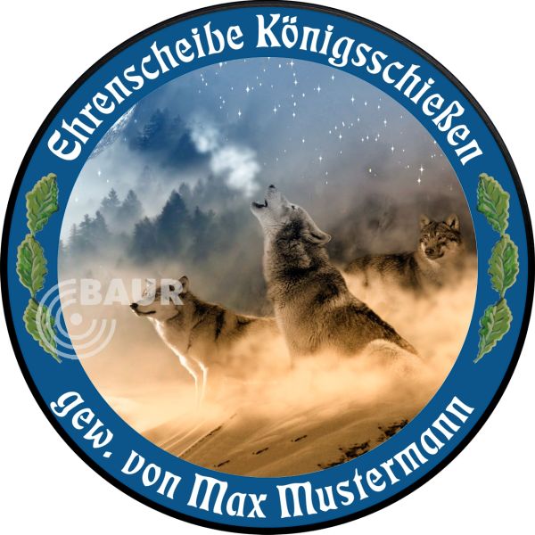 Schützenscheibe ECO-LINE Motiv 241