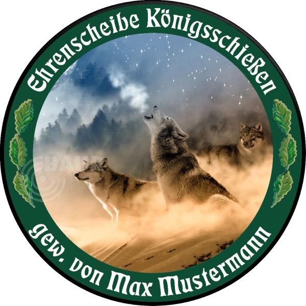 Schützenscheibe ECO-LINE Motiv 241