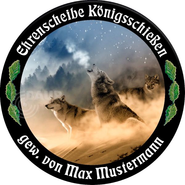 Schützenscheibe ECO-LINE Motiv 241