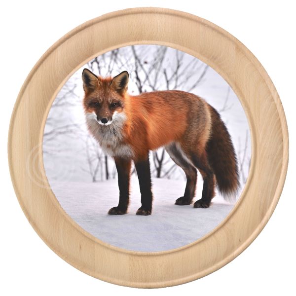 Schützenscheibe Motiv 243