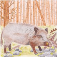 Glücksscheibe bunt, 14x14cm, 100 Stk. Motiv Wildschwein